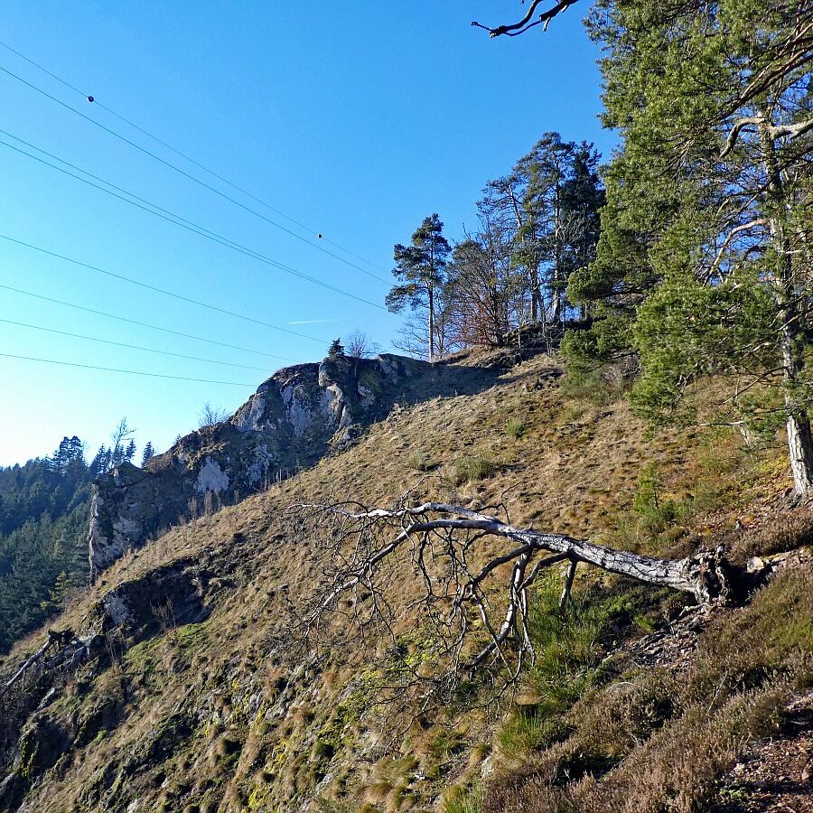 Bach Schloesslefelsen Muehlefelsen 05