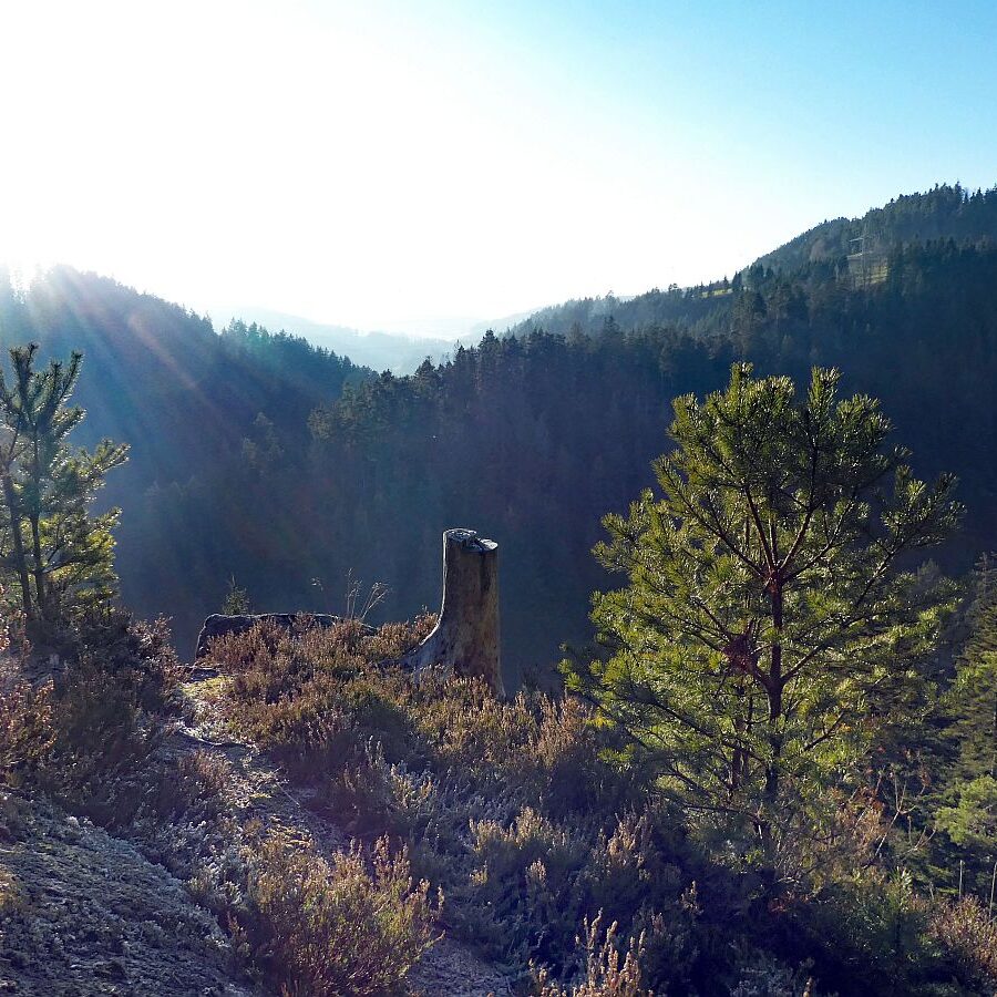 Bach Schloesslefelsen Muehlefelsen 08