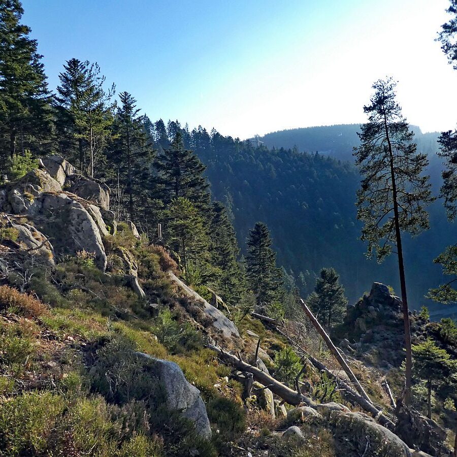 Bach Schloesslefelsen Muehlefelsen 09