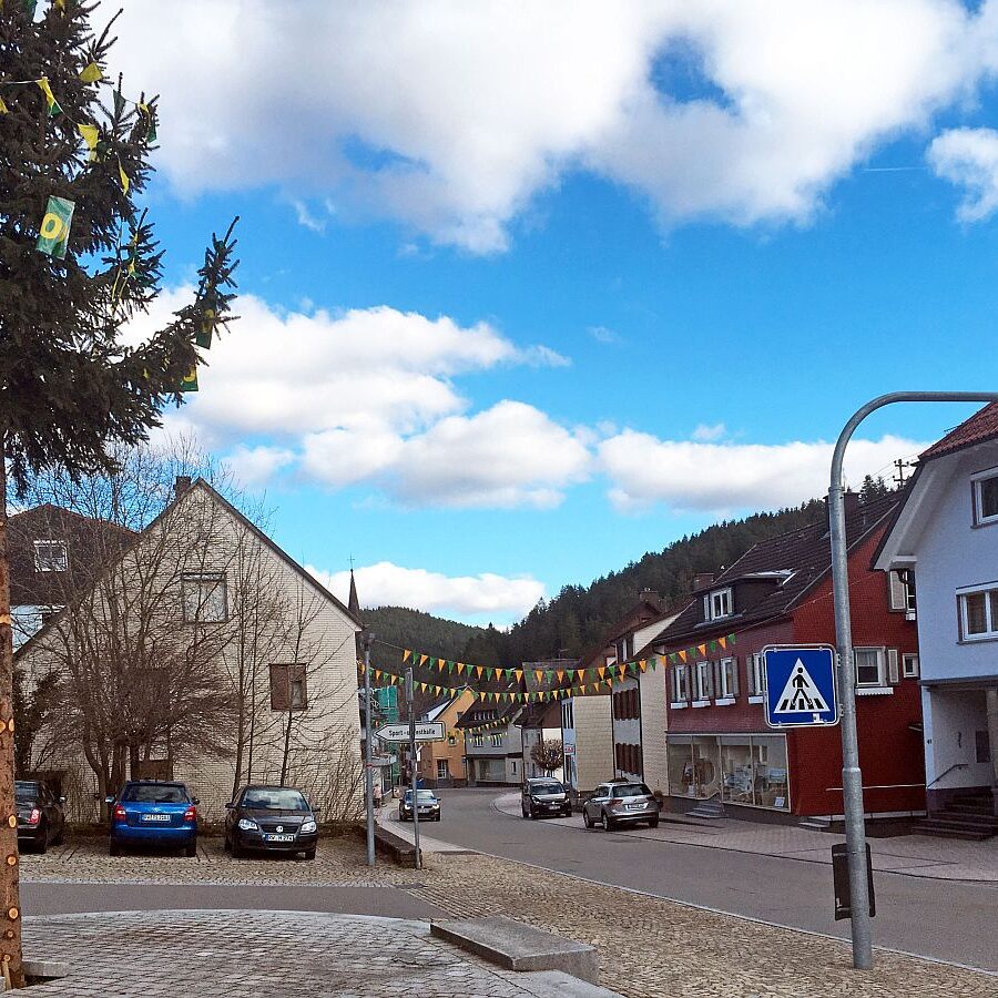 Fasnet Tennenbronn 05