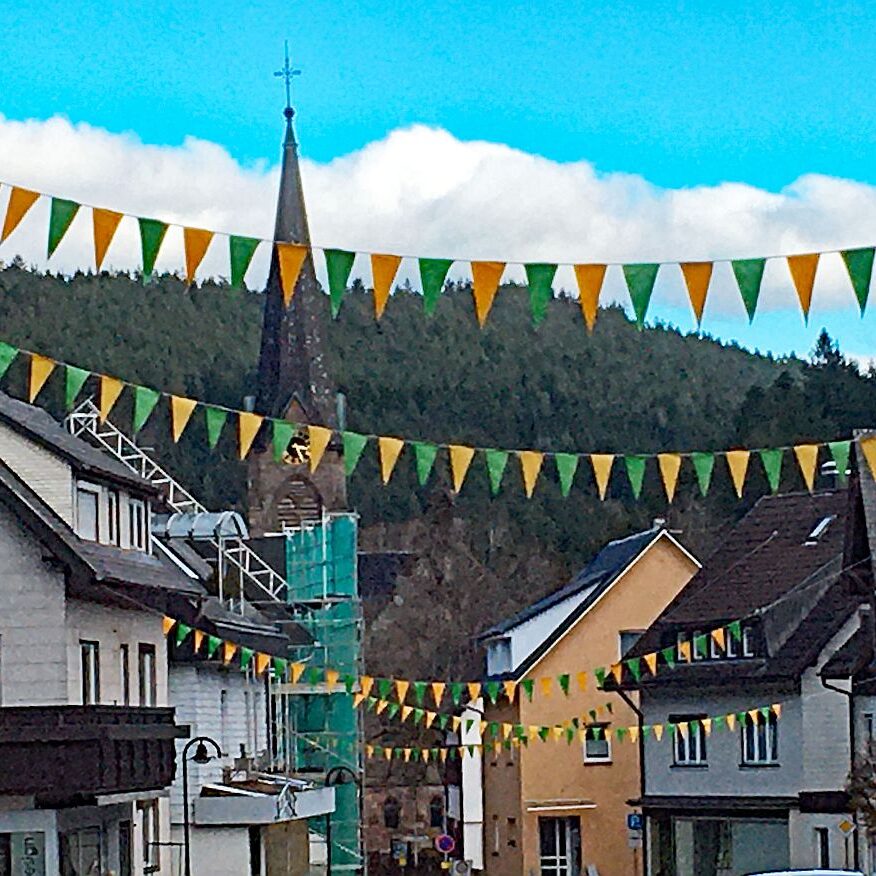 Fasnet Tennenbronn 06