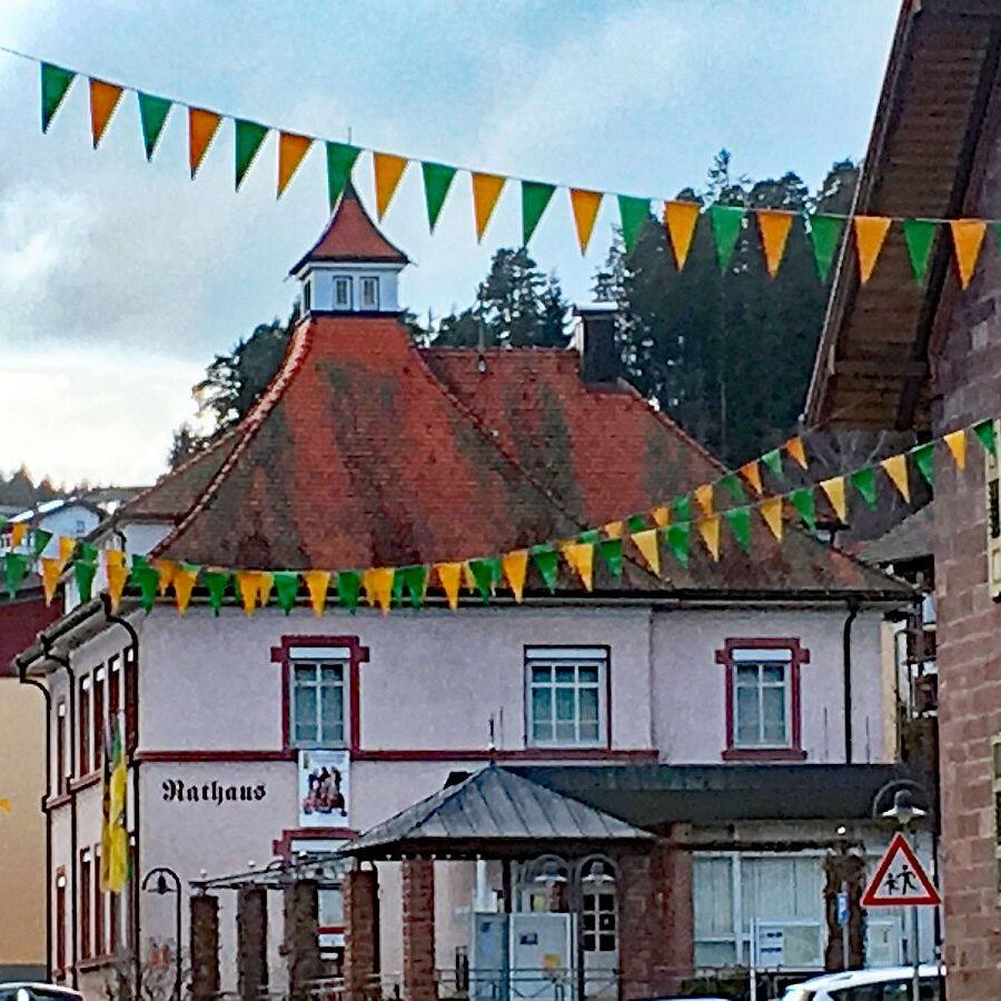 Fasnet Tennenbronn 07