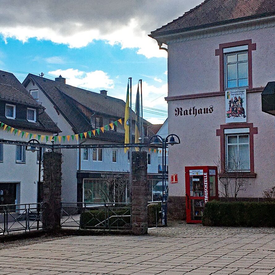 Fasnet Tennenbronn 08