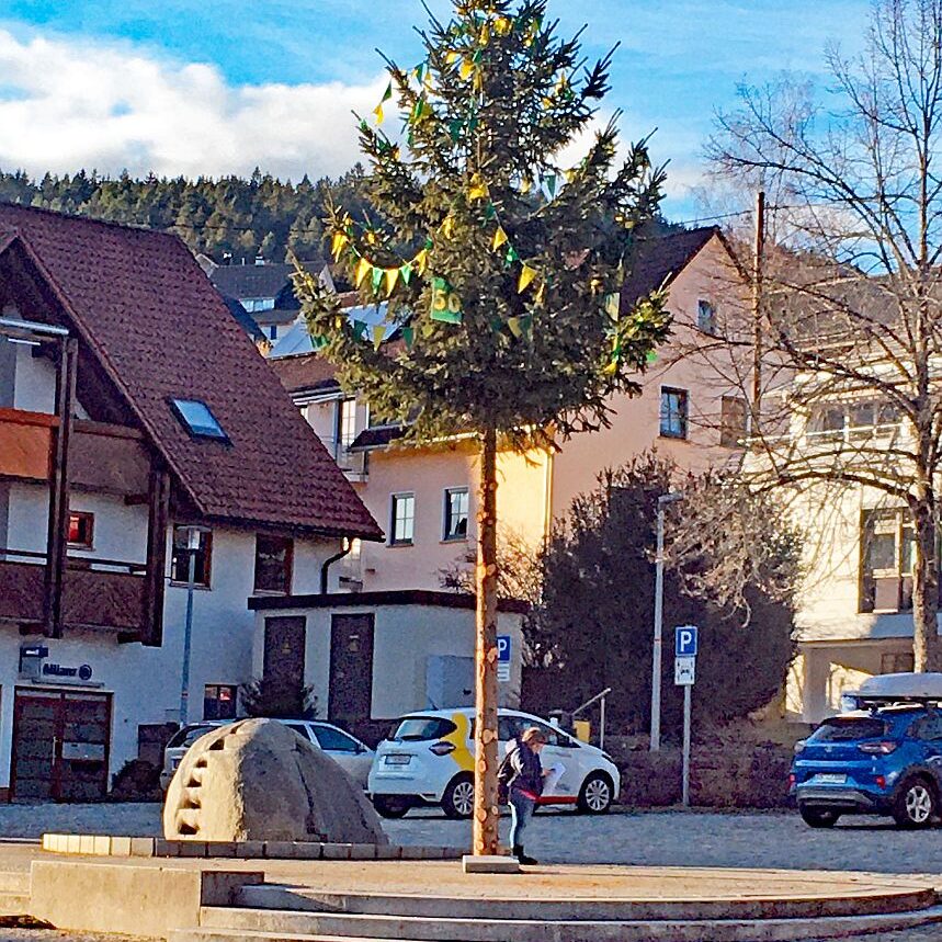 Fasnet Tennenbronn 10