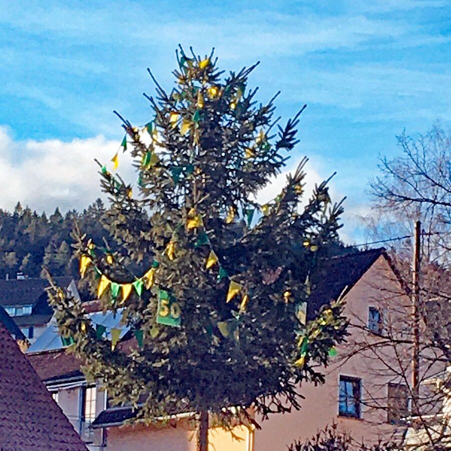 Fasnet Tennenbronn 11