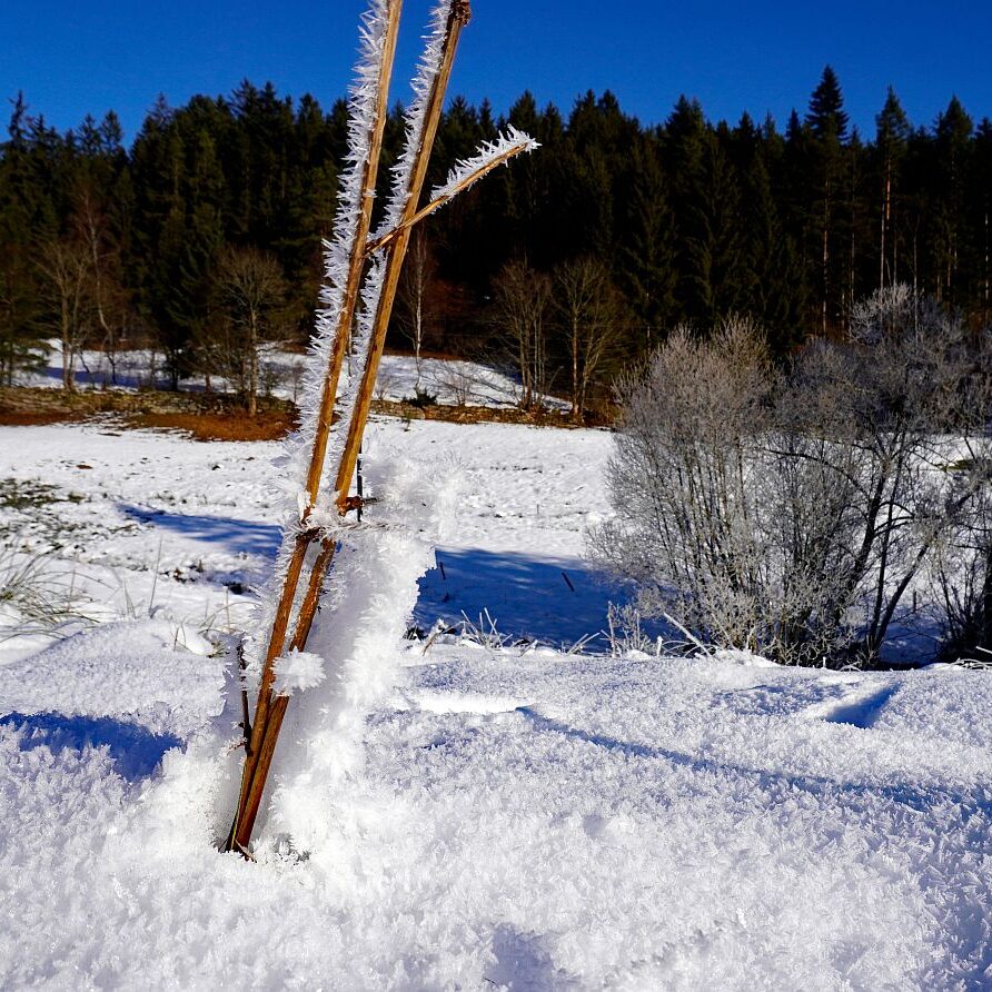 Kunstwerke aus Schnee und Eis 01
