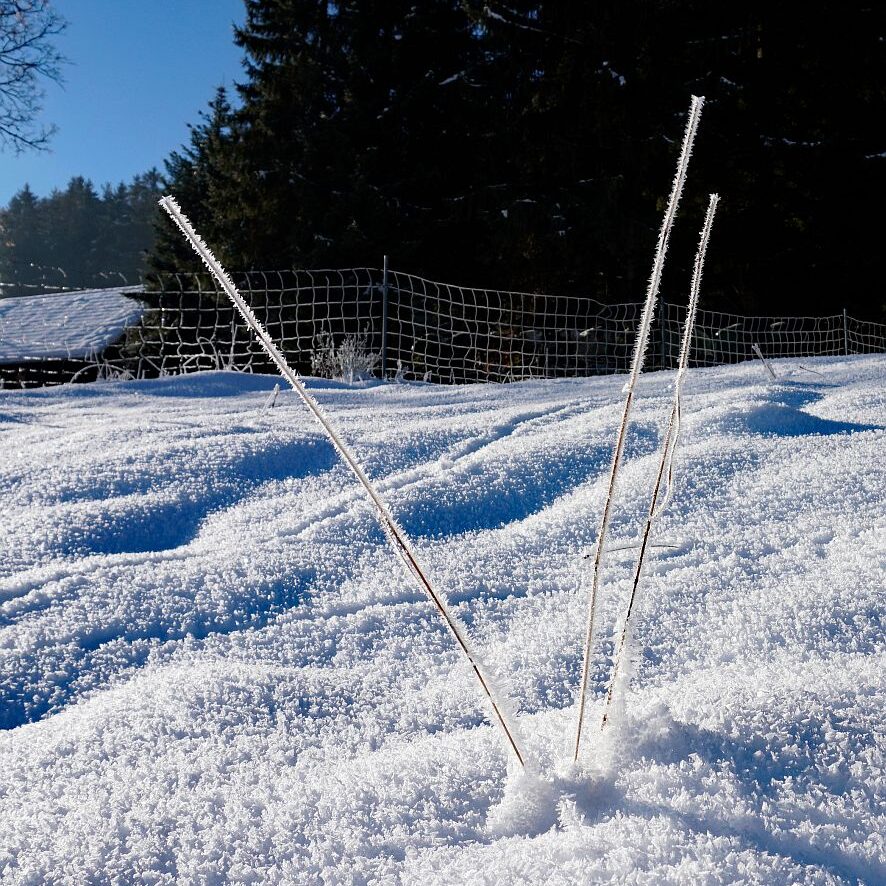 Kunstwerke aus Schnee und Eis 02