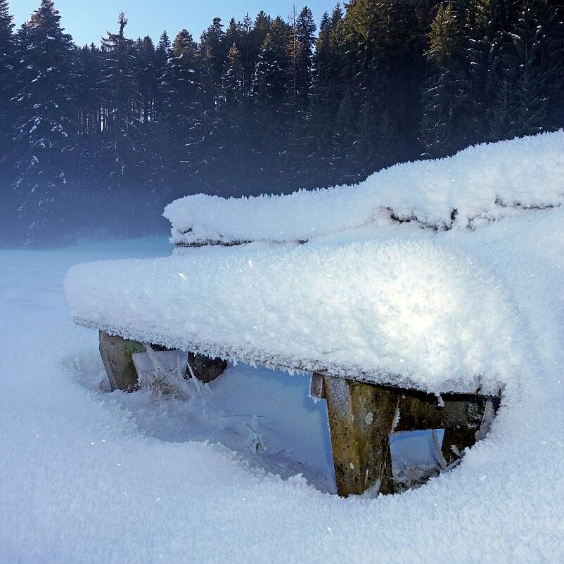 Kunstwerke aus Schnee und Eis 03