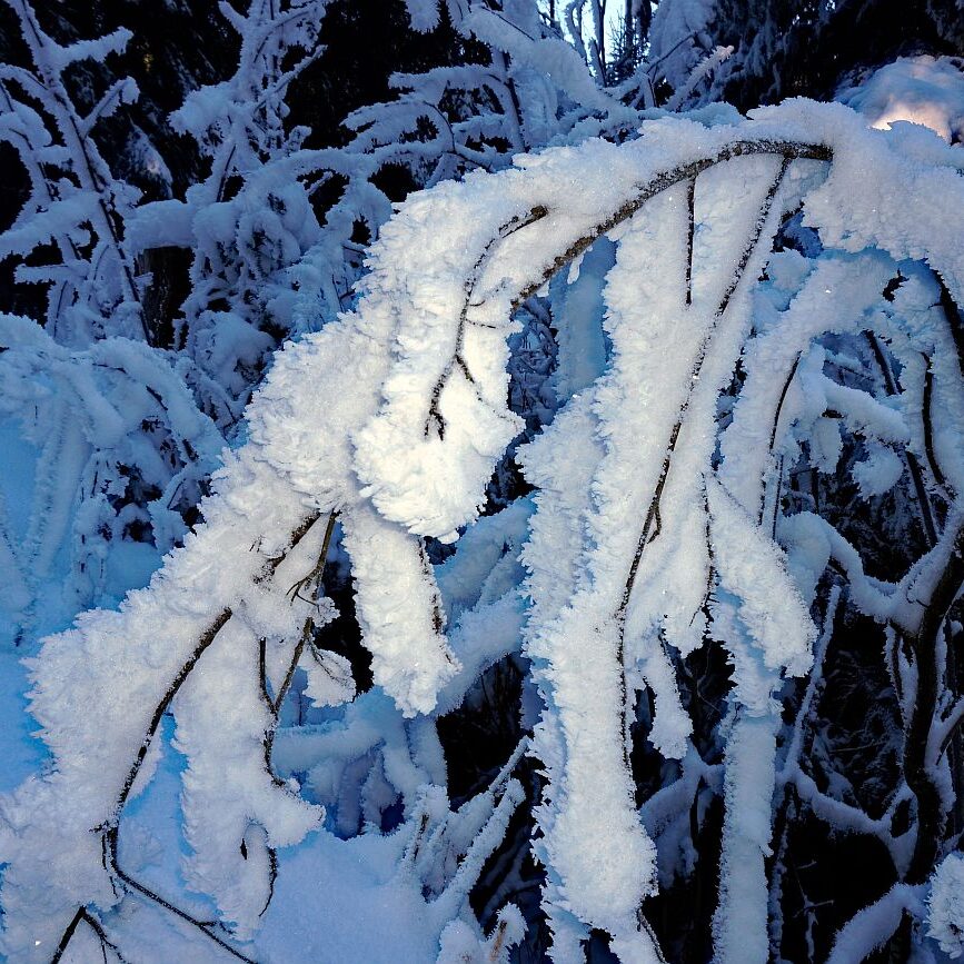 Kunstwerke aus Schnee und Eis 04