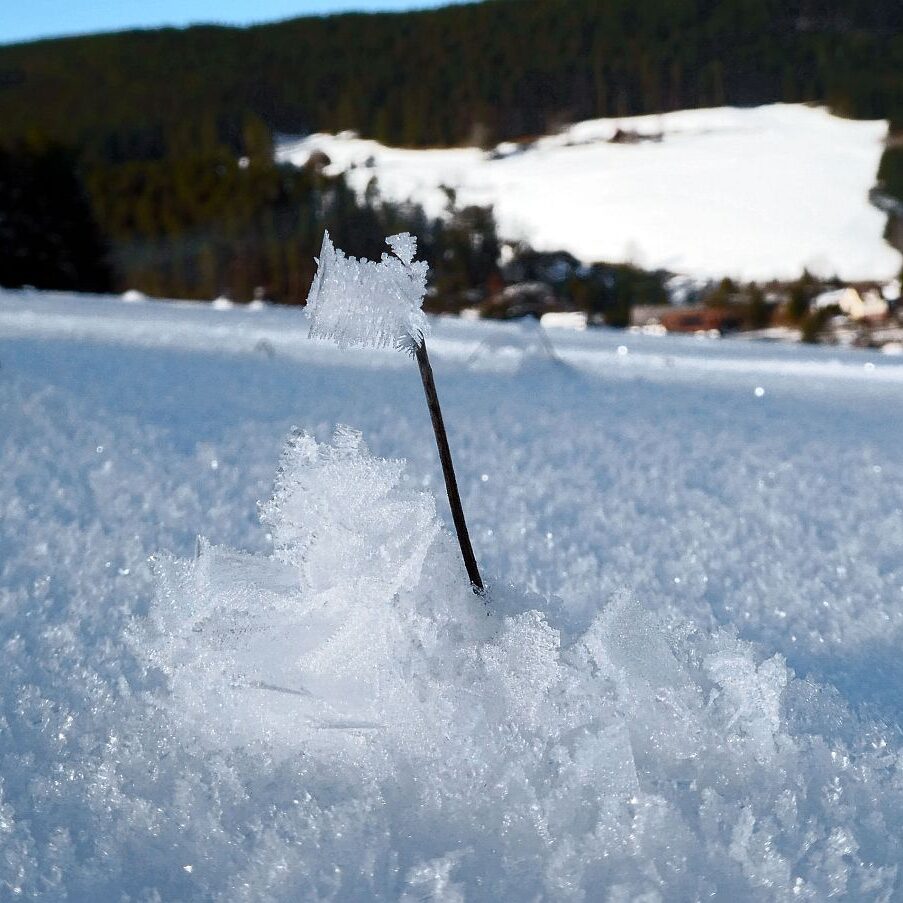 Kunstwerke aus Schnee und Eis 05