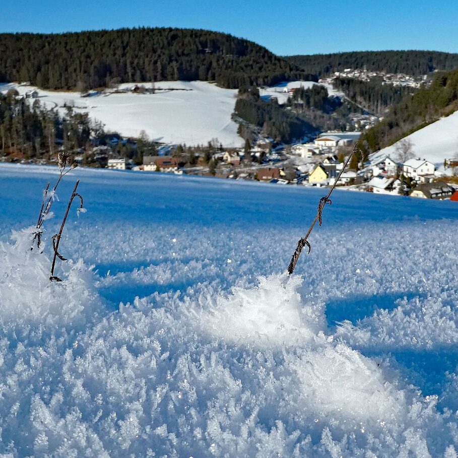 Kunstwerke aus Schnee und Eis 06