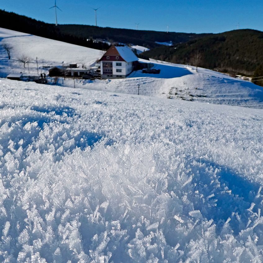 Kunstwerke aus Schnee und Eis 07