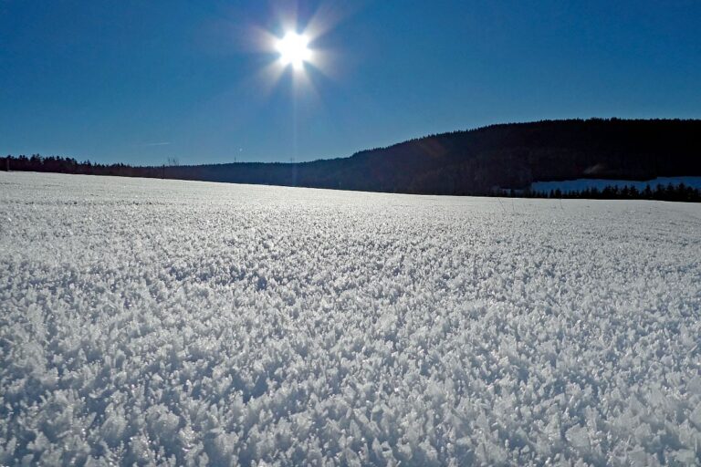 Kunstwerke aus Schnee und Eis 09