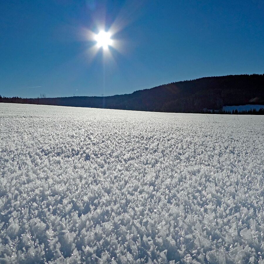Kunstwerke aus Schnee und Eis 09
