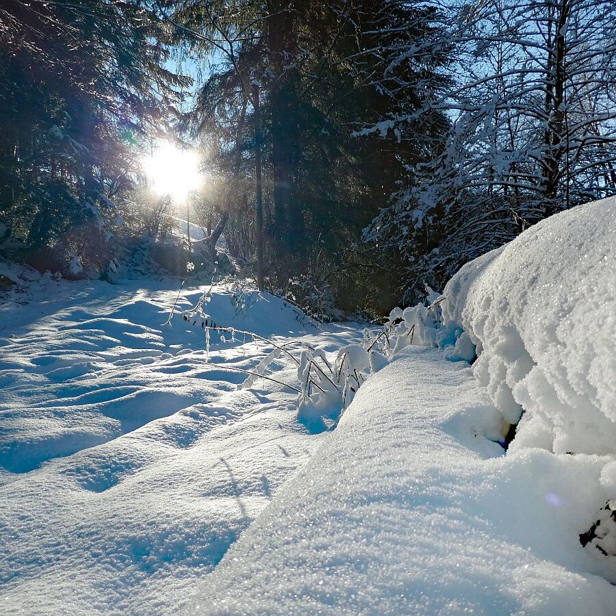 Kunstwerke aus Schnee und Eis 10