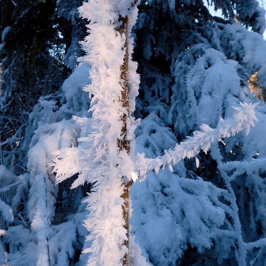 Kunstwerke aus Schnee und Eis 11