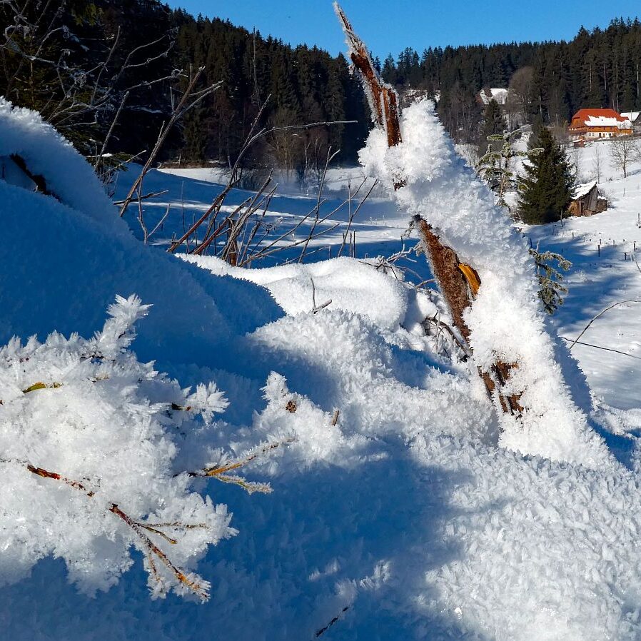 Kunstwerke aus Schnee und Eis 12