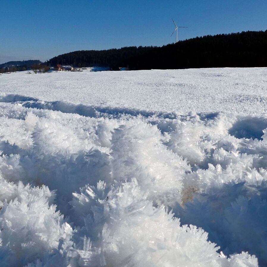 Kunstwerke aus Schnee und Eis 14