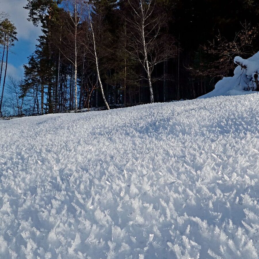Kunstwerke aus Schnee und Eis 15