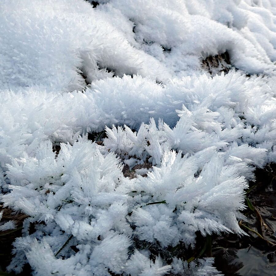 Kunstwerke aus Schnee und Eis 17