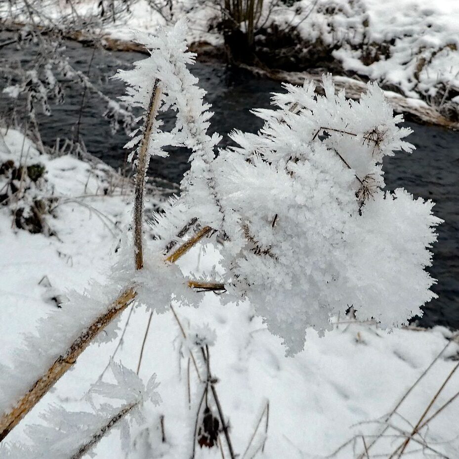 Kunstwerke aus Schnee und Eis 18
