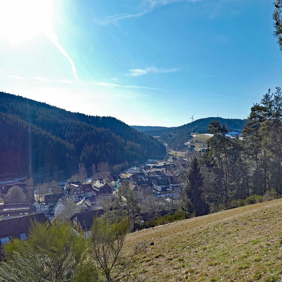 Vorfruehling Dorfberg Remsbach Tennenbronn 01