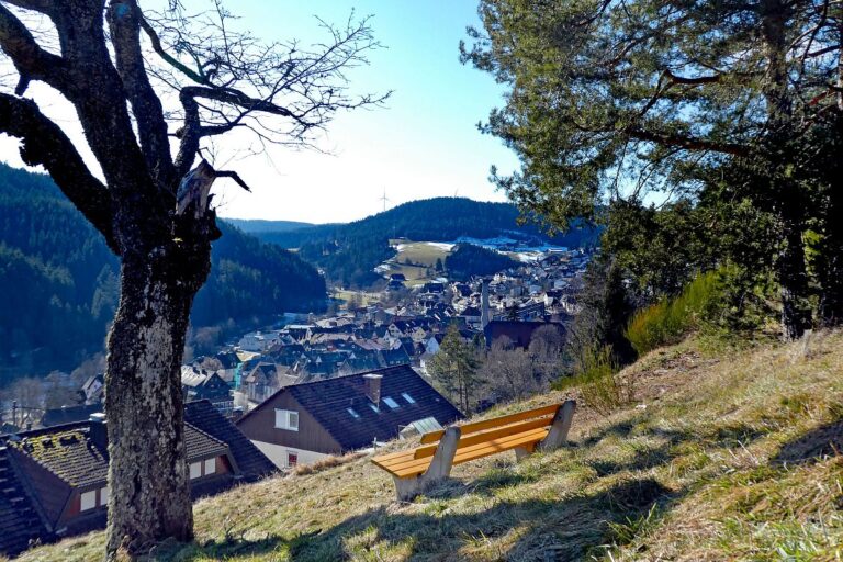 Vorfruehling Dorfberg Remsbach Tennenbronn 03