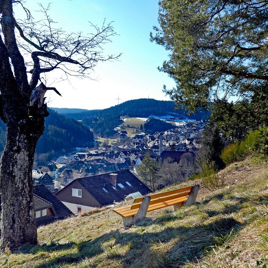 Vorfruehling Dorfberg Remsbach Tennenbronn 03