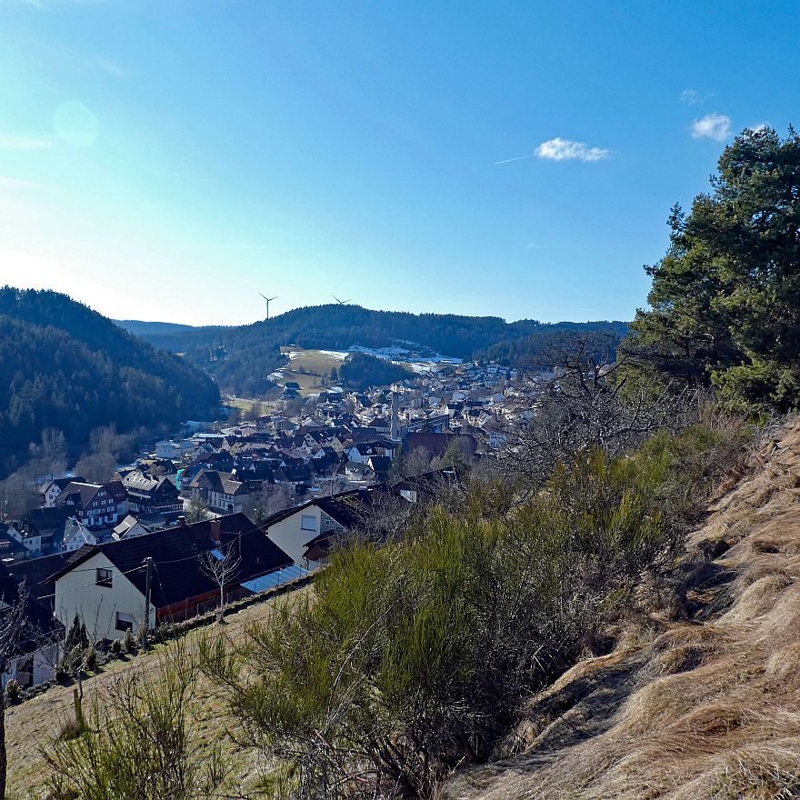 Vorfruehling Dorfberg Remsbach Tennenbronn 04