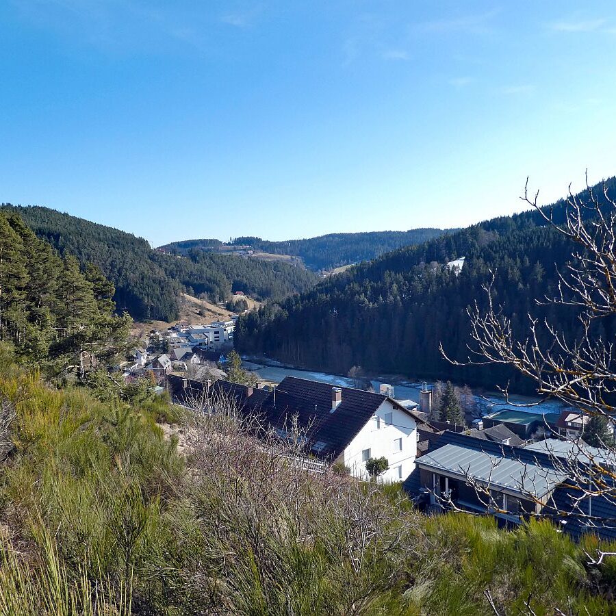 Vorfruehling Dorfberg Remsbach Tennenbronn 05
