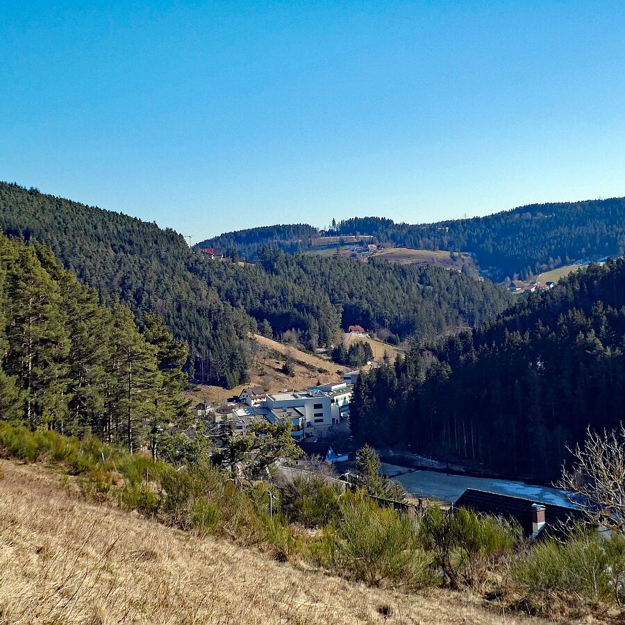 Vorfruehling Dorfberg Remsbach Tennenbronn 06