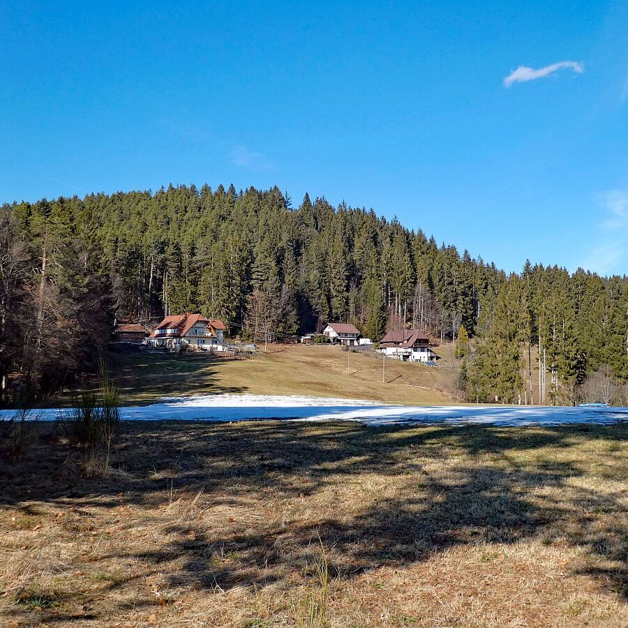 Vorfruehling Dorfberg Remsbach Tennenbronn 08