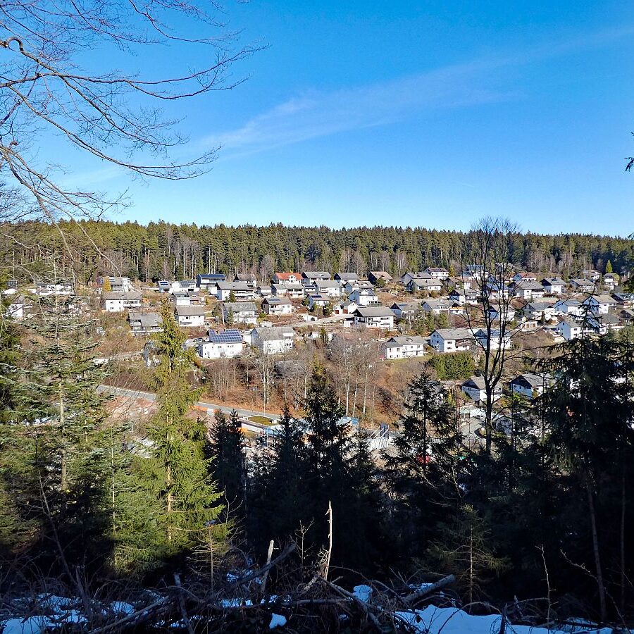 Vorfruehling Dorfberg Remsbach Tennenbronn 09