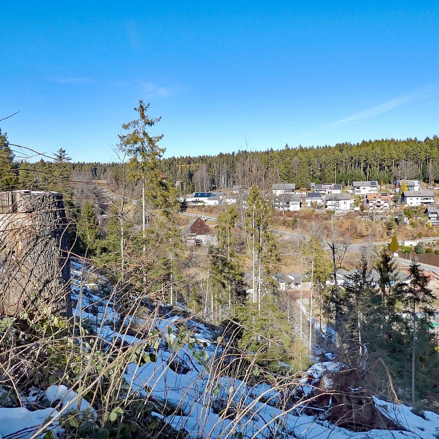 Vorfruehling Dorfberg Remsbach Tennenbronn 10