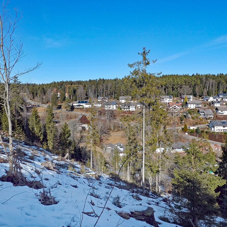 Vorfruehling Dorfberg Remsbach Tennenbronn 11