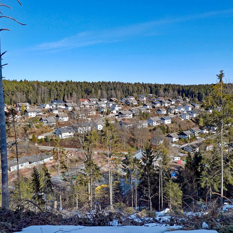 Vorfruehling Dorfberg Remsbach Tennenbronn 13