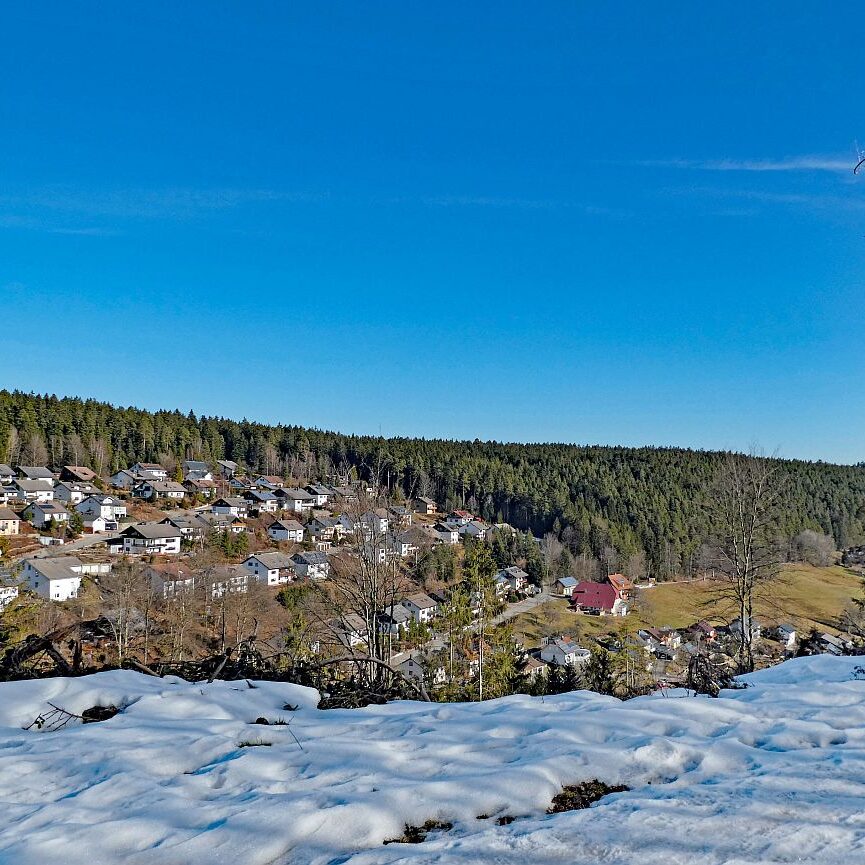 Vorfruehling Dorfberg Remsbach Tennenbronn 14
