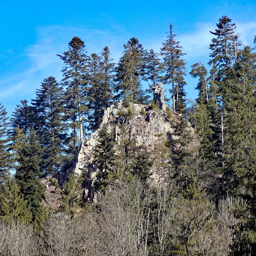 Felsen im Bernecktal im Fruehling 01