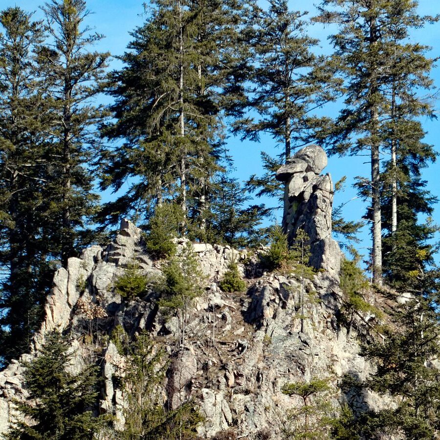 Felsen im Bernecktal im Fruehling 02