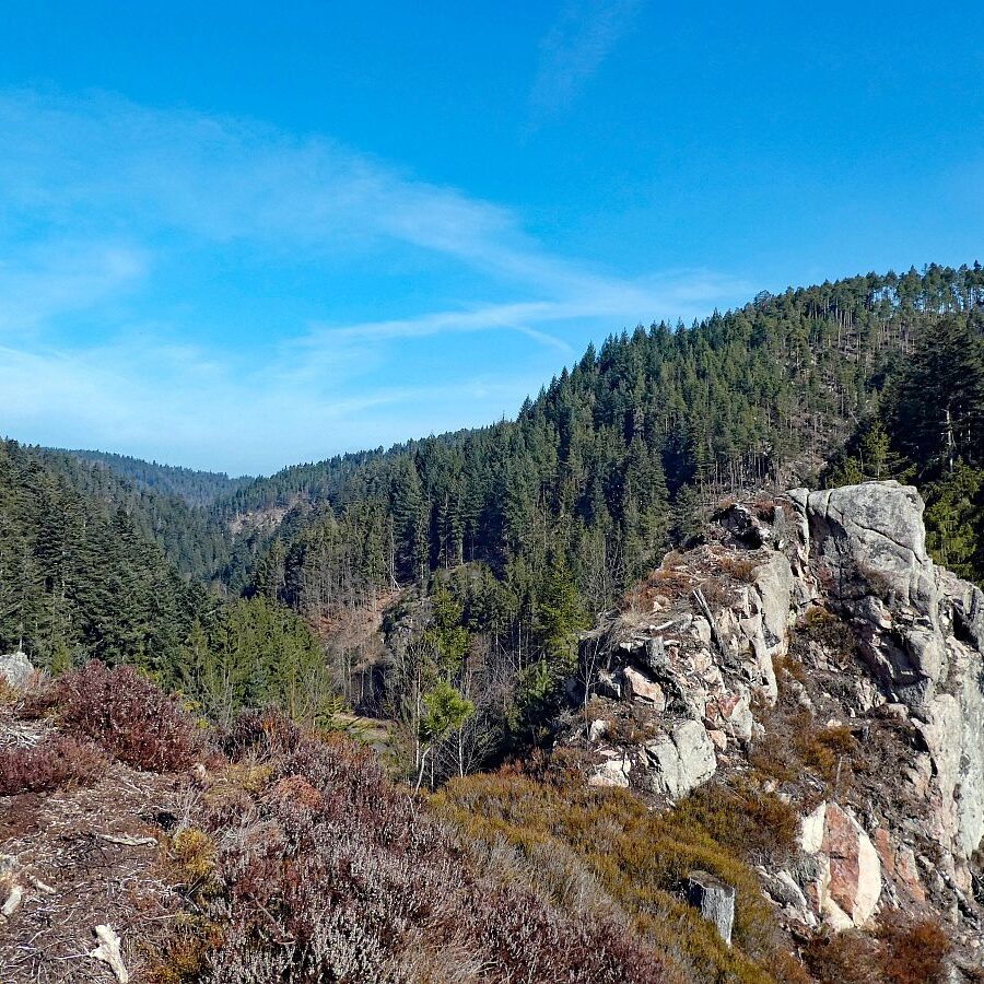 Felsen im Bernecktal im Fruehling 03