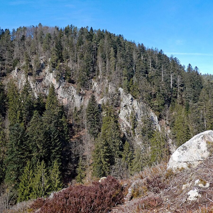 Felsen im Bernecktal im Fruehling 04