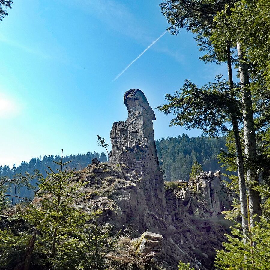 Felsen im Bernecktal im Fruehling 05