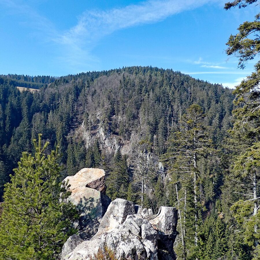 Felsen im Bernecktal im Fruehling 06