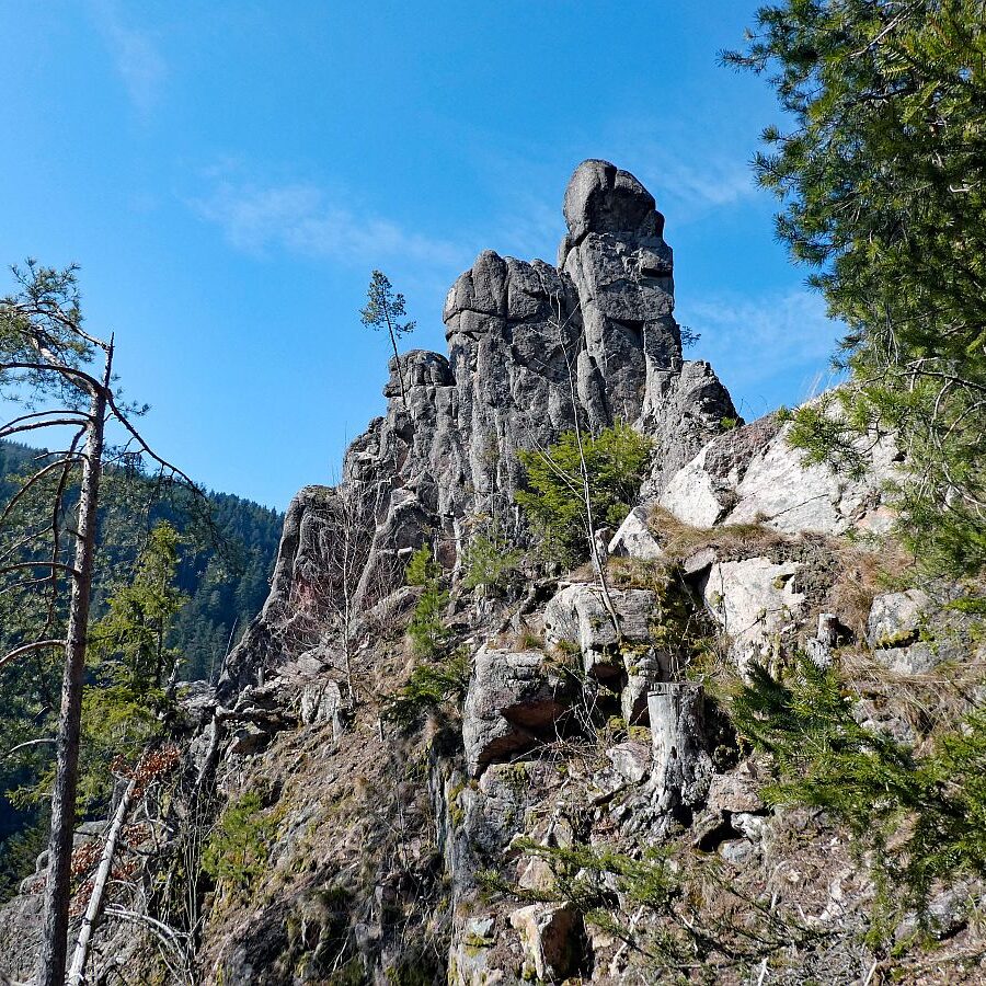 Felsen im Bernecktal im Fruehling 07