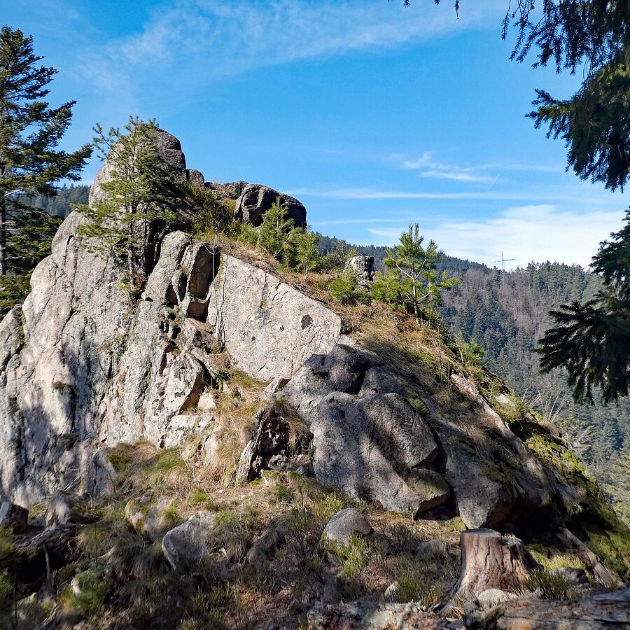 Felsen im Bernecktal im Fruehling 08