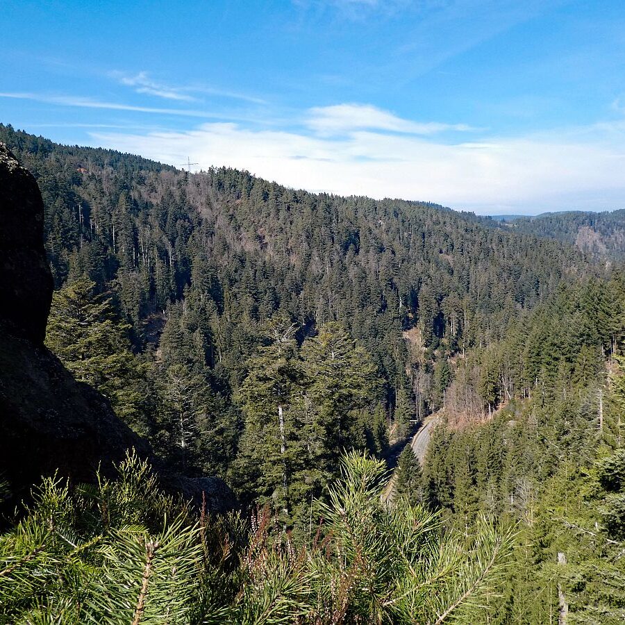 Felsen im Bernecktal im Fruehling 09