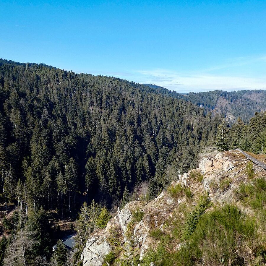 Felsen im Bernecktal im Fruehling 10