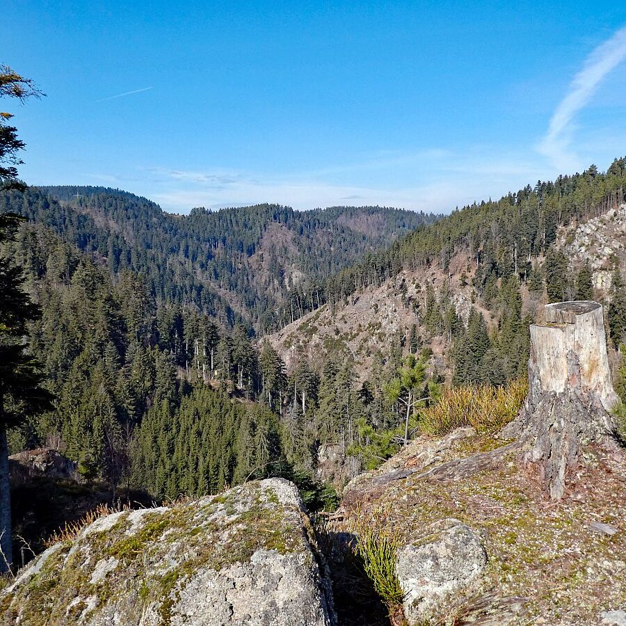 Felsen im Bernecktal im Fruehling 11