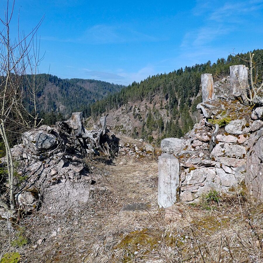 Felsen im Bernecktal im Fruehling 12