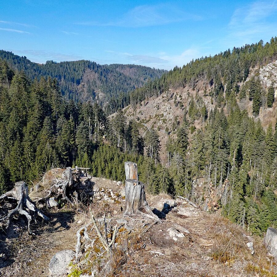 Felsen im Bernecktal im Fruehling 13